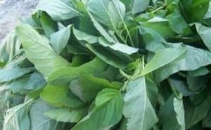 Callaloo