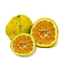 Ugli Fruit