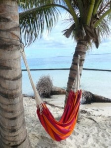 A taste of the Caribbean