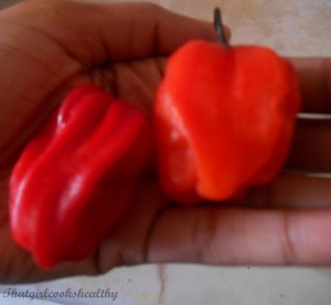 scotch bonnet 123