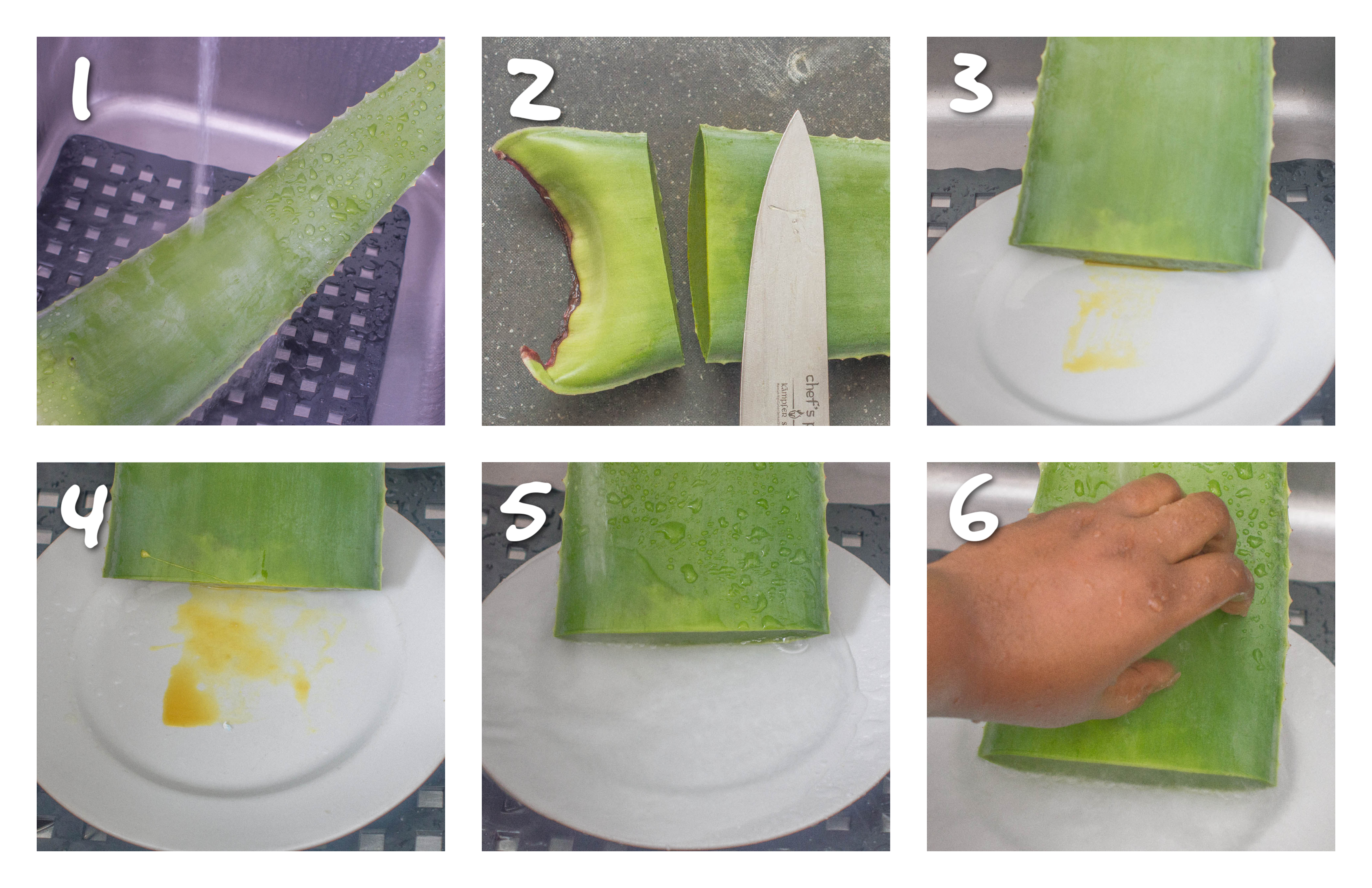 steps 1-6 removing the latex from the aloe vera