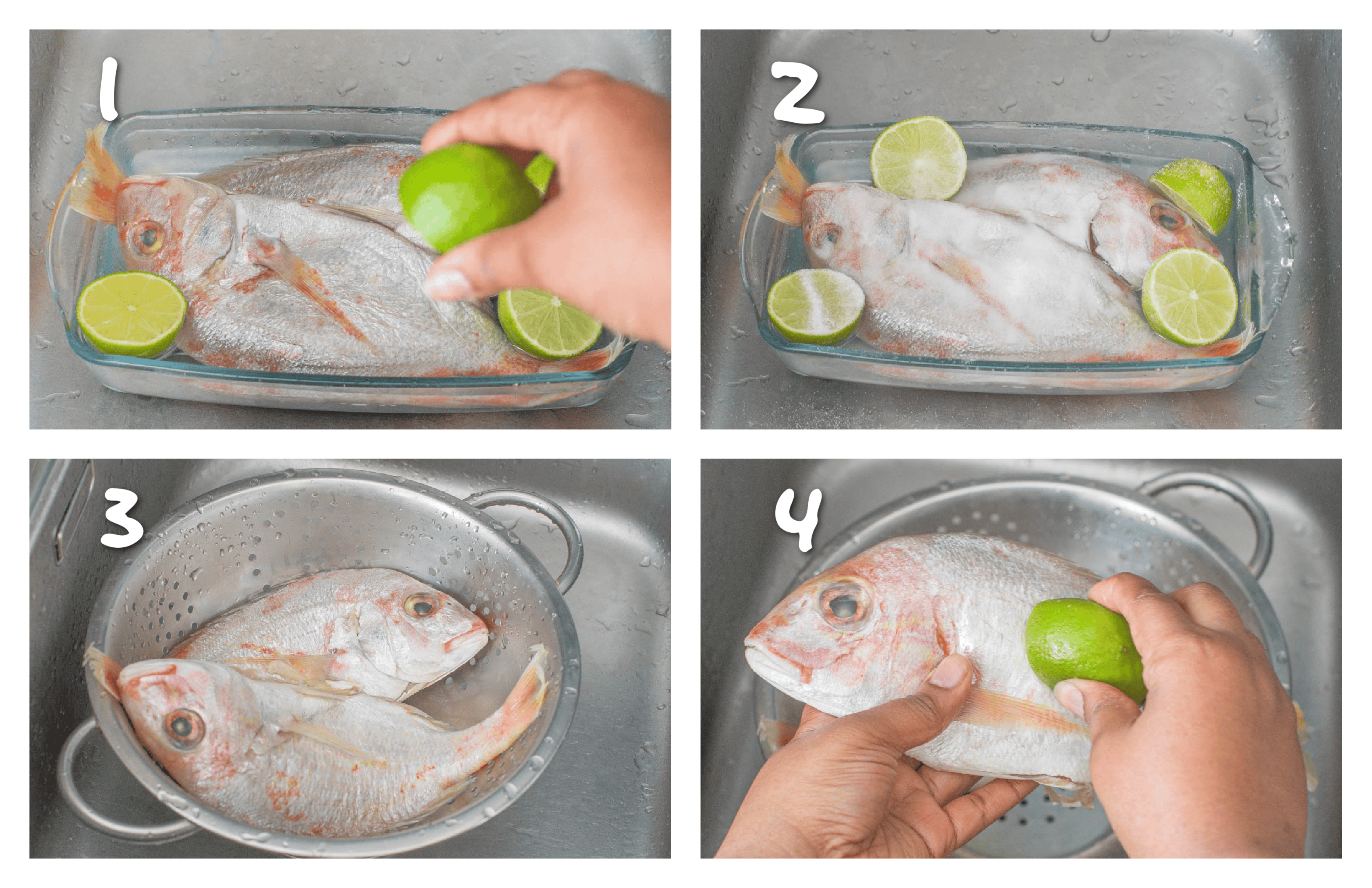 step1-4 cleaning the snapper
