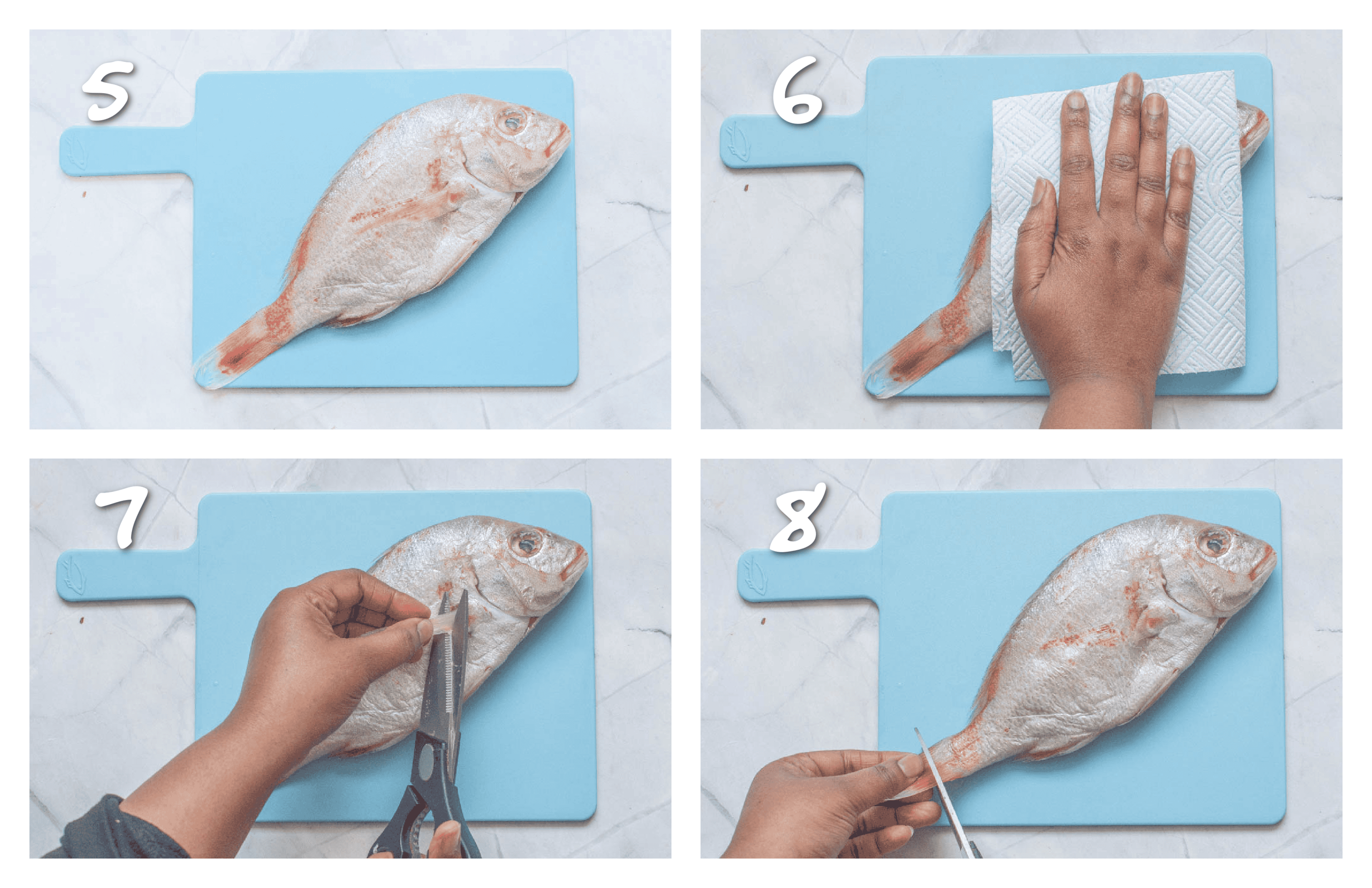 step5-8 blotting and trimming the fins