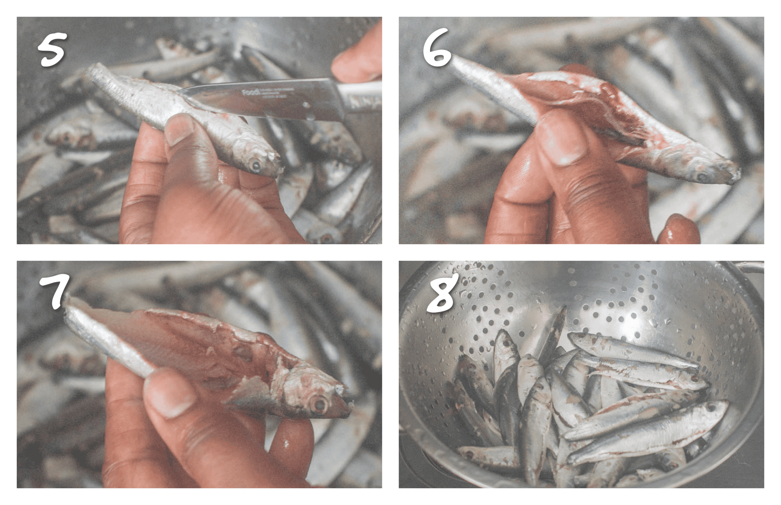 steps5-8 gutting the sprats